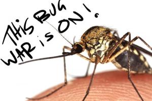 MosquitosBloodEditThumb2